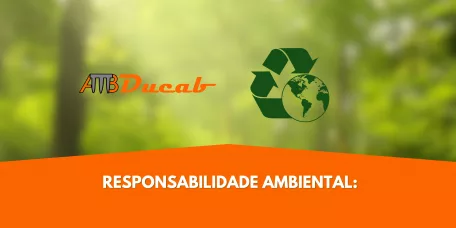 Responsabilidade Ambiental